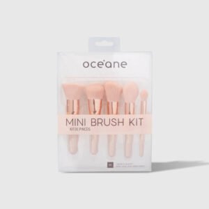 mini kit com 5 pincéis mini brush kit