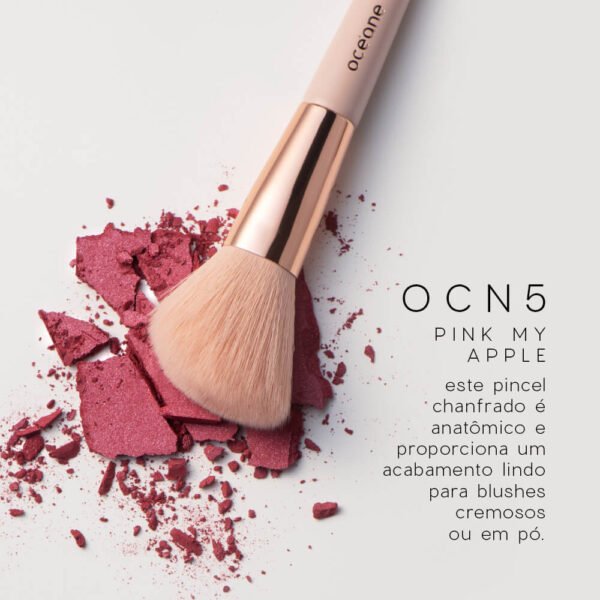 mini kit com 5 pincéis mini brush kit