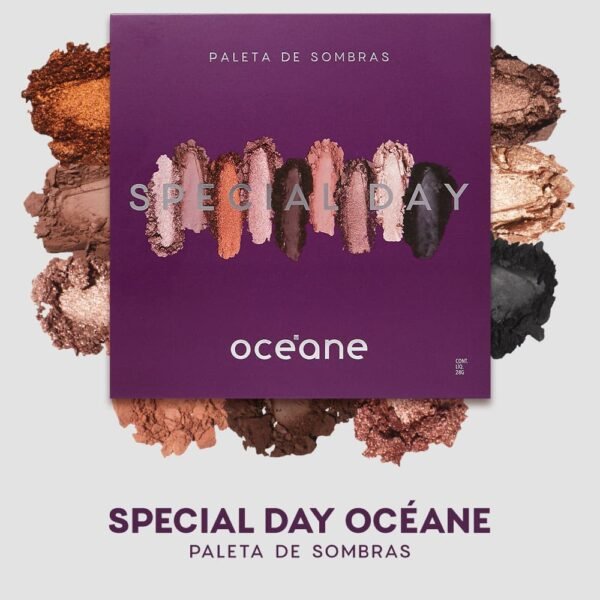 paleta de sombras special day océane purple 25g